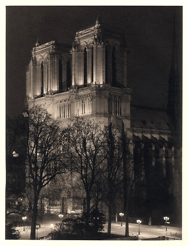Notre Dame from Shakespeare and Co.<br>Platinum Photograph